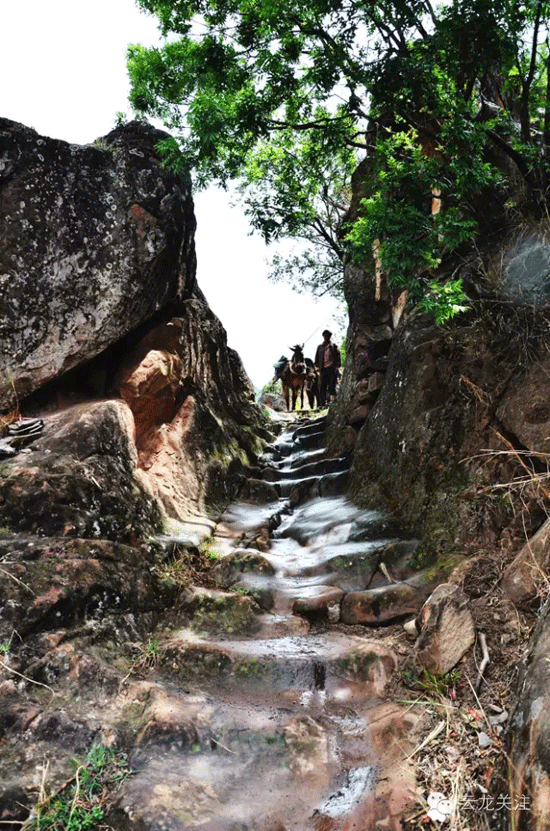 盐马古道