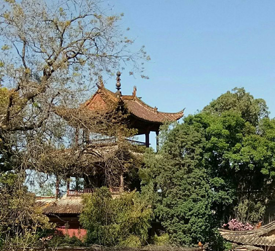 宜良文庙之四(王刚摄)尊经阁(王刚摄)法明寺古塔(邓忠权摄)私立光德