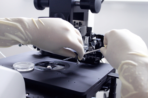 安装显微操作针,准备实施卵胞浆内单精子注射