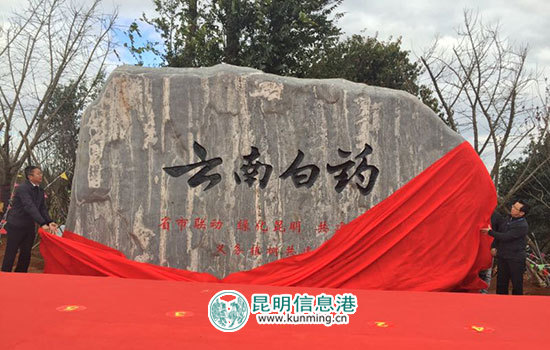 呈贡白龙潭公园新增173亩“云南白药林” 呈贡白龙潭公园新增173亩“云南白药林”