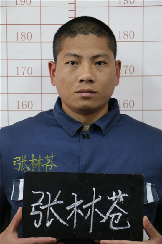 云南省司法厅深夜开新闻通报会：直接抓获张林苍奖20万