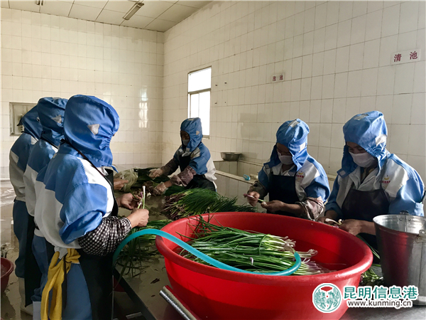 30余名农民工志愿者上街义务保洁 为“创文”助力添彩 30余名农民工志愿者上街义务保洁 为“创文”助力添彩