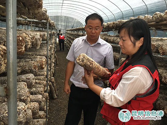 家乐福,宜良,困难户 家乐福,宜良,困难户