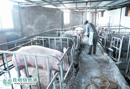 扶贫忠魂永驻“红土地”：追记昆明扶贫驻村干部刘军