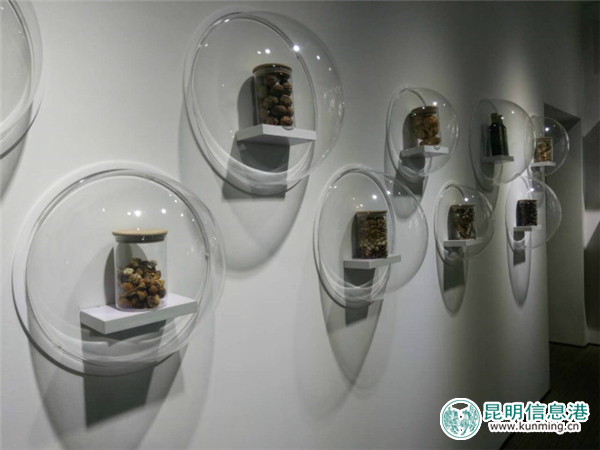 昆明林业展览馆在海口林场开馆 昆明林业展览馆在海口林场开馆