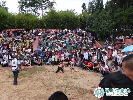 宜良小哨第八届干巴菌节暨第十四届火把节开幕