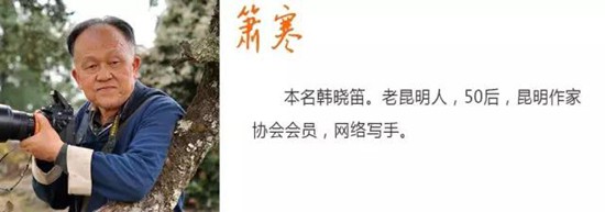 箫寒专栏：剃了个亮蛋竟也引出这么多事