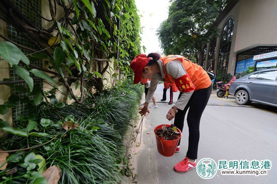 “全国最美志愿服务社区”的“服务经”