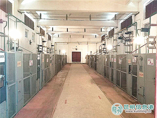 云南铁路最大货运站王家营西站牵引变电所改造完工