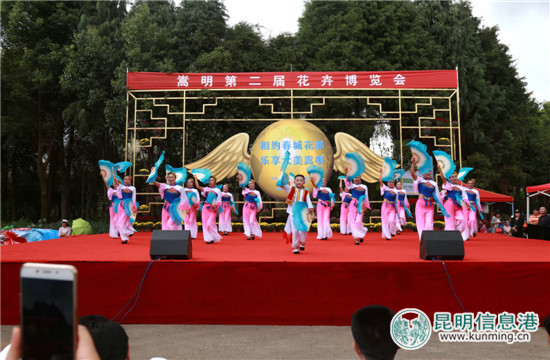 嵩明县第二届花博会盛大启幕 870亩花海带游客徜徉花世界