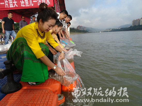 景洪市举行澜沧江渔业增殖放流活动