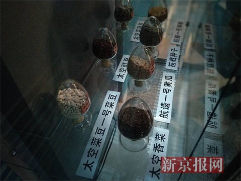 太空种子。