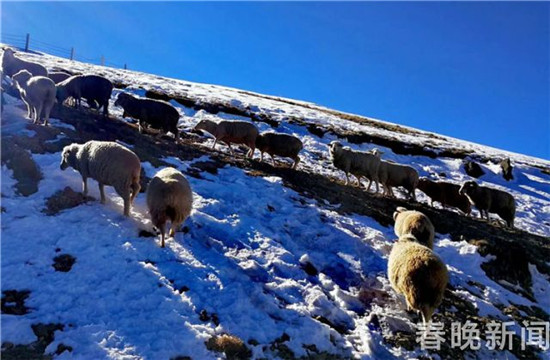 云南首个高山滑雪场27日会泽迎客