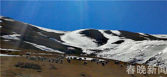 云南首个高山滑雪场27日会泽迎客