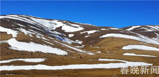 云南首个高山滑雪场27日会泽迎客