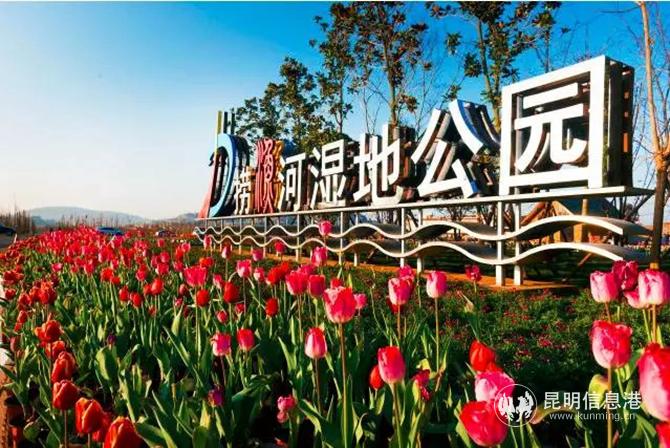 mmexport1601468697312