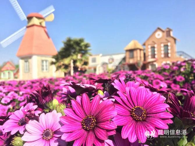 mmexport1601468902971