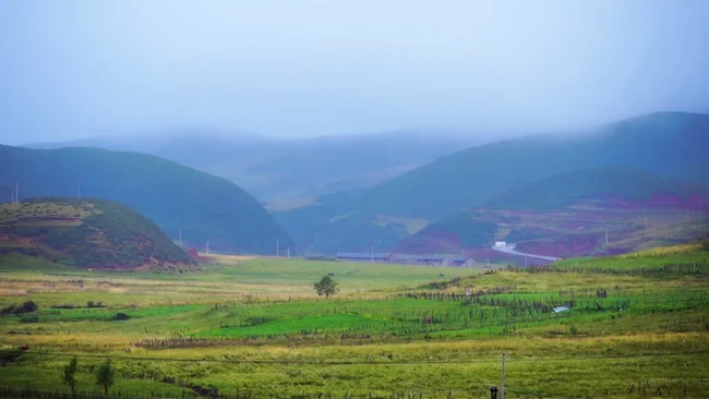 微光丨 “脱贫，一个人都没落下！”彝族老村长的心里话
