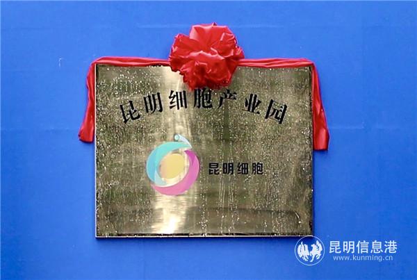 微信图片_20201015181937 微信图片_20201015181937