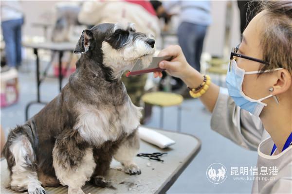 比赛现场 比赛现场