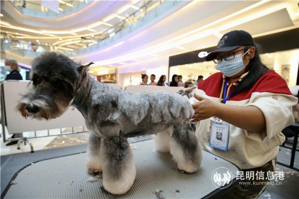 比赛现场2 比赛现场2