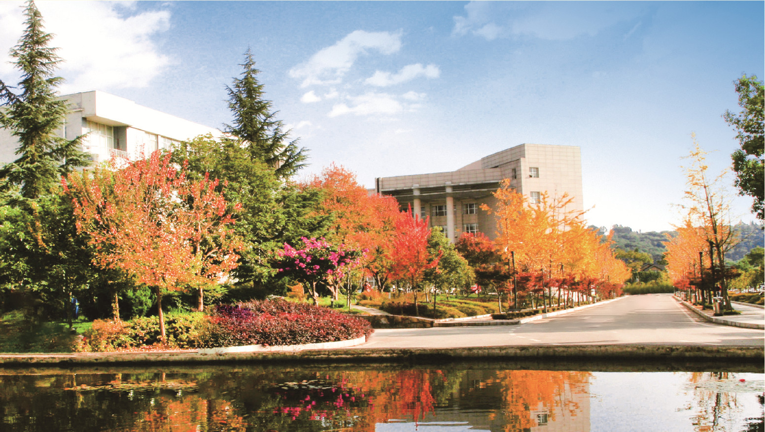 云南林业职业技术学院